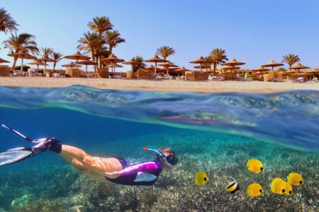 Red Sea Riviera: Diving, Snorkeling, and Relaxation in Hurghada or Sharm El Sheikh